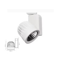 30 Watt Osram Ledli Ray Spot