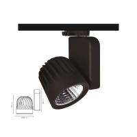 30 Watt Osram Ledli Ray Spot